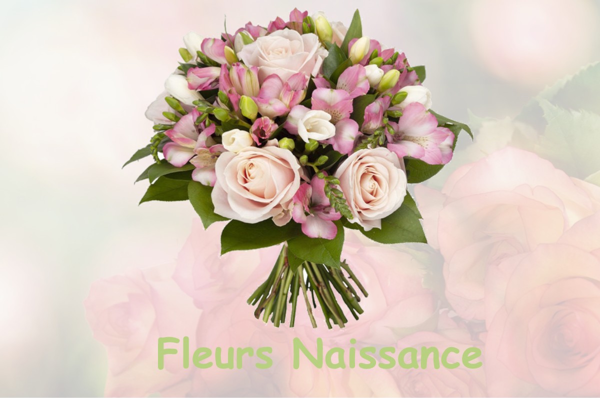 fleurs naissance MESLAY-LE-GRENET